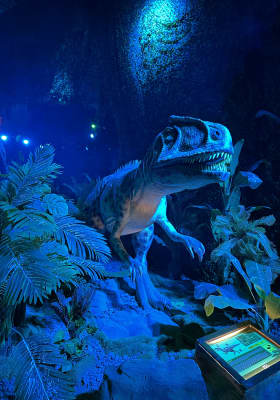 Photo 11 from Dinos Milano
