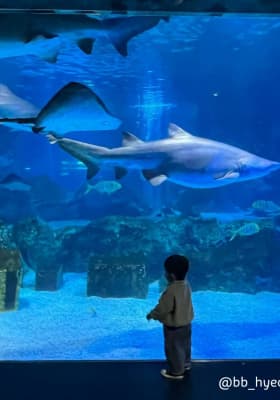 Photo 11 from 씨라이프 코엑스 아쿠아리움 (SEA LIFE COEX, Seoul Aquarium)