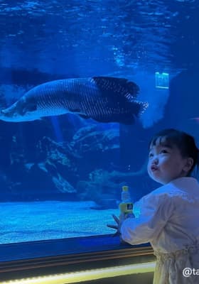 Photo 6 from 씨라이프 코엑스 아쿠아리움 (SEA LIFE COEX, Seoul Aquarium)