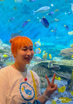 Photo 4 from 씨라이프 코엑스 아쿠아리움 (SEA LIFE COEX, Seoul Aquarium)
