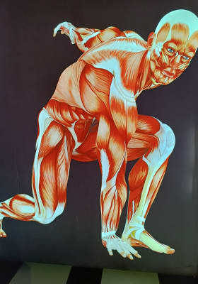 Photo 3 from Plaza Bicentenario