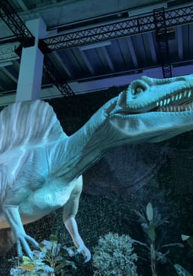 Photo 10 from Dinos Milano