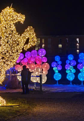 Photo 11 from CAVALLUNA PARK München