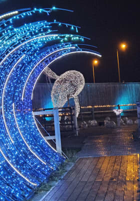 Photo 8 from CAVALLUNA PARK München