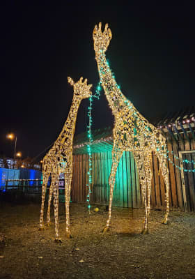 Photo 7 from CAVALLUNA PARK München