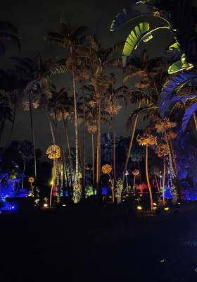 Photo 2 from Fairchild Tropical Botanic Garden