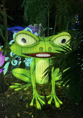 Photo 19 from Jungle Island