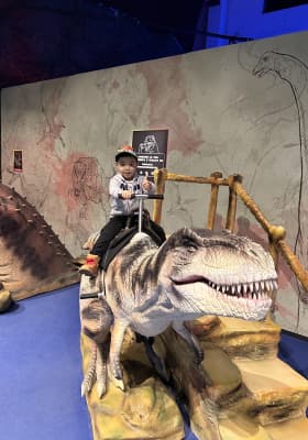 Photo 8 from Dinos Milano