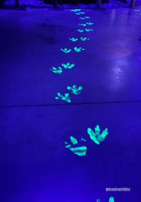 Photo 5 from Dinos Milano