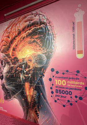 Photo 5 from Science Expériences, Lyon