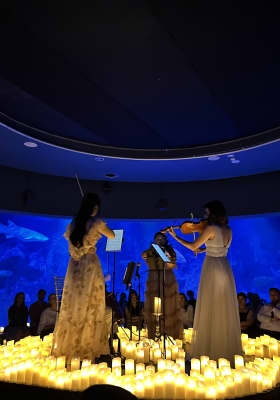 Photo 5 from Acuario de Melbourne