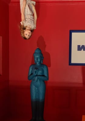 Photo 8 from WOM