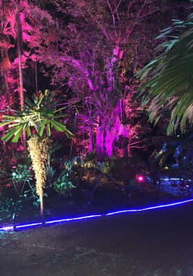 Photo 1 from Fairchild Tropical Botanic Garden