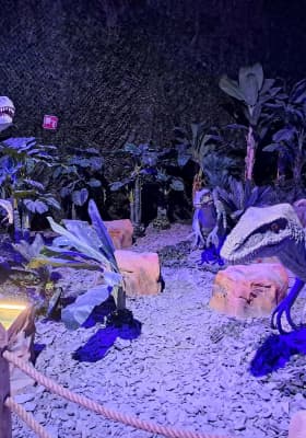 Photo 4 from Dinos Milano