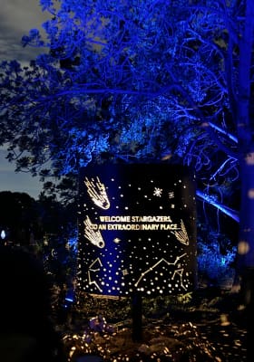 Photo 5 from South Coast Botanic Garden