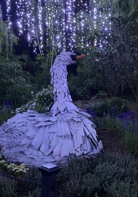 Photo 2 from Harry P Leu Gardens