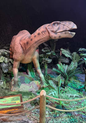 Photo 1 from Dinos Milano