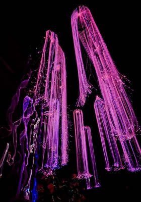 Photo 2 from AVORA