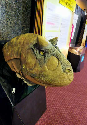 Photo 3 from Logan Campbell Centre