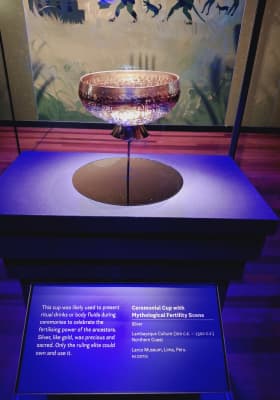 Photo 9 from Australian Museum