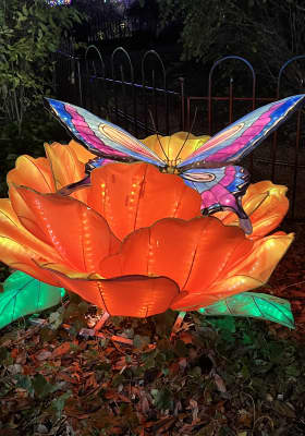 Photo 9 from Texas Discovery Gardens
