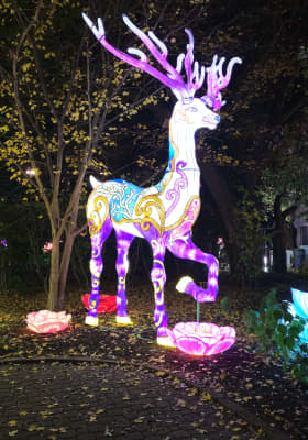 Photo 3 from Texas Discovery Gardens