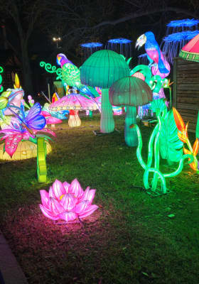Photo 1 from Texas Discovery Gardens