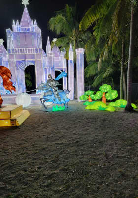 Photo 13 from Jungle Island
