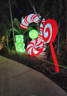 Photo 12 from Jungle Island
