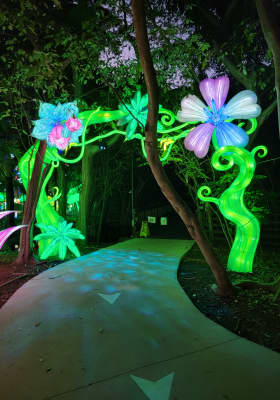 Photo 10 from Jungle Island