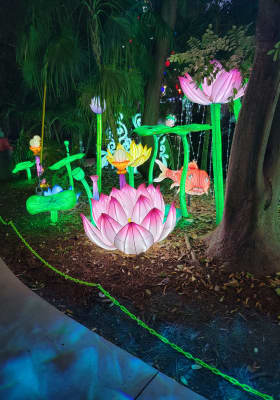Photo 7 from Jungle Island