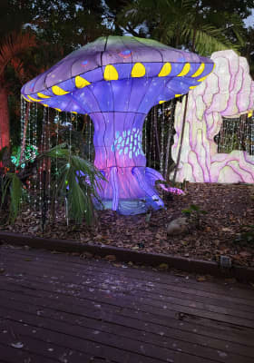 Photo 6 from Jungle Island