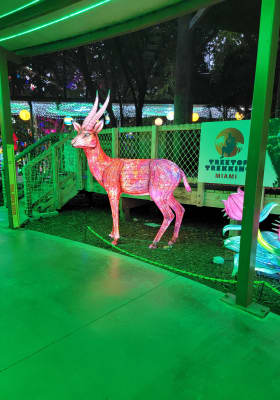 Photo 5 from Jungle Island
