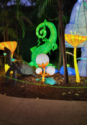 Photo 4 from Jungle Island