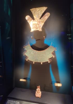 Photo 8 from Australian Museum