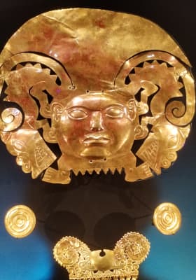 Photo 7 from Australian Museum