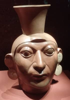 Photo 6 from Australian Museum
