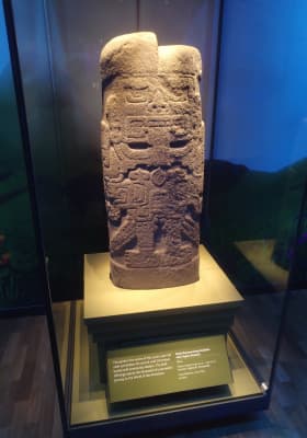 Photo 5 from Australian Museum