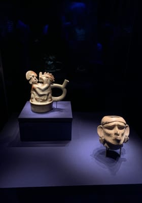 Photo 4 from Australian Museum
