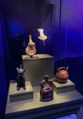 Photo 2 from Australian Museum