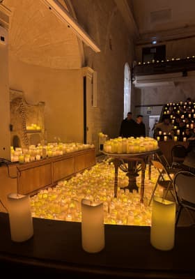 Photo 5 from Université Montpellier I - Faculty of Medicine