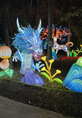 Photo 3 from Jungle Island