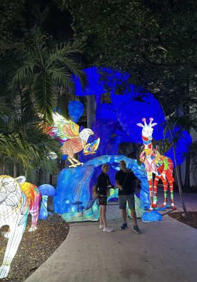 Photo 2 from Jungle Island