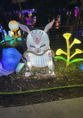 Photo 1 from Jungle Island