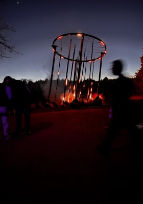 Photo 7 from Trinity Forest Adventure Park