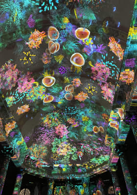 Photo 10 from Heiliggeistkirche