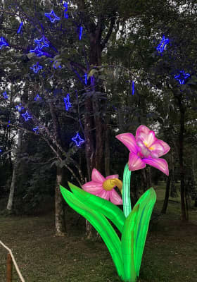 Photo 6 from Jardim Botânico de São Paulo