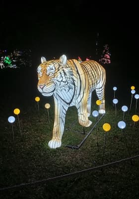Photo 4 from Jardim Botânico de São Paulo