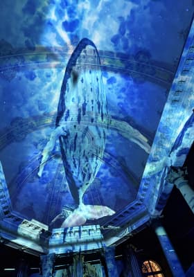 Photo 2 from Heiliggeistkirche