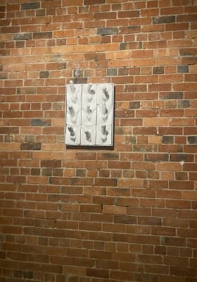 Photo 5 from Museum Of Desire